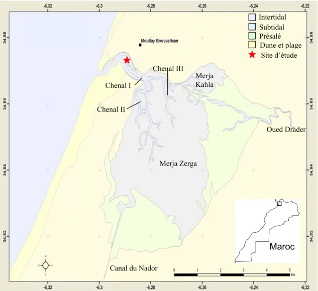 Figure 1.3 :  La lagune de Moulay Bousselham avec ses deux sous-ensembles, la Merja 