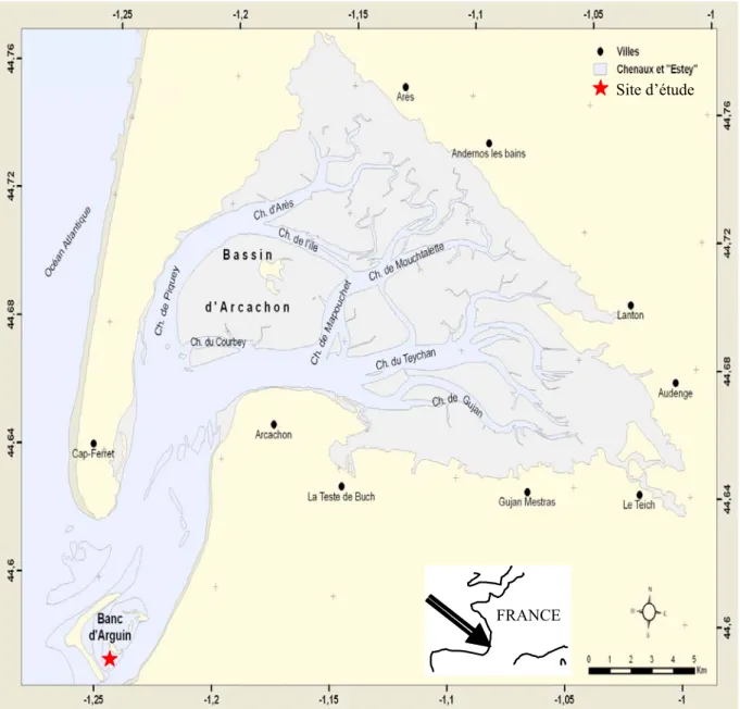 Figure 1.4 :  Le Bassin d’Arcachon et le site d’étude (Carte réalisée sous ArcGIS d’après 