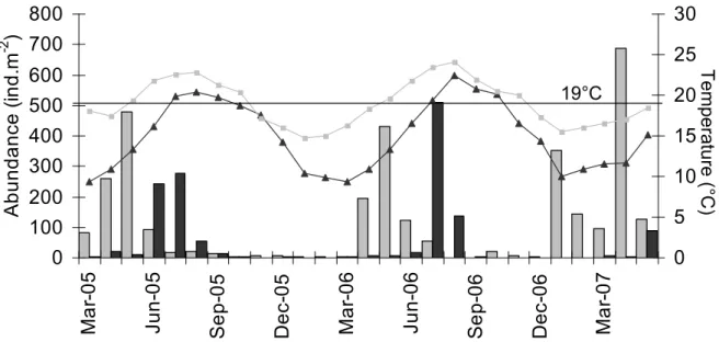 Figure 2.4:  Recruitment pattern of Cerastoderma edule population estimated by mean 