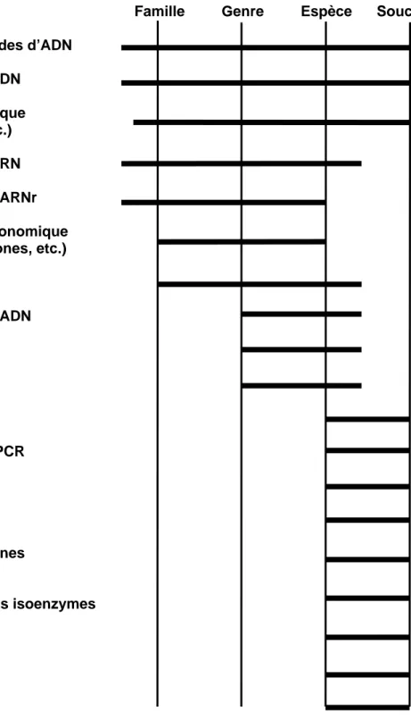 Figure 3.  Résolution taxonomique des différentes techniques utilisées pour l’étude de la  diversité des rhizobiums (D’après Vandamme et al., 1996 et de Bruijn et al., 1997)