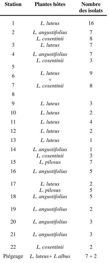 Tableau 4. Nombre des isolats obtenus à partir de chaque espèce de lupin et dans chaque  station de collecte  