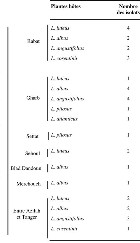 Tableau 5. Nombre des isolats obtenus à partir de chaque espèce de lupin selon les  prospections menées par l’INRA de Rabat