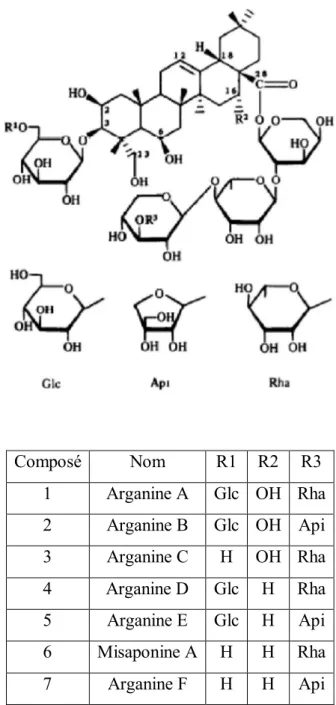 Figure 5. Structures chimiques des saponines d’Argania spinosa (d’après (Charrouf  et al