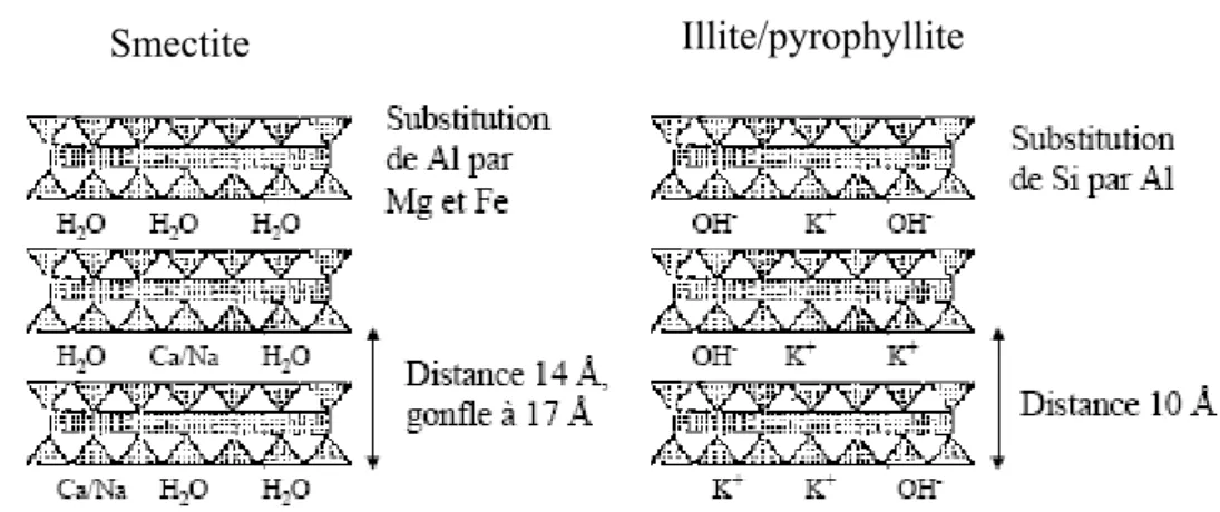 Figure I-3. Représentation schématique de la structure feuilletée des smectites et des  illite/pyrophyllite