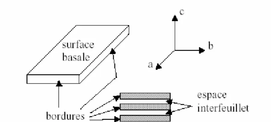 Figure I-6 : Illustration de l'empilement des feuillets d'argile, montrant les surfaces basales,  les bordures des particules, ainsi que les espaces interfeuillets