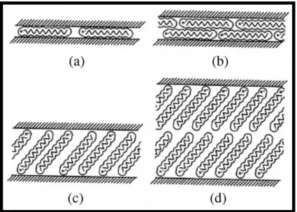 Figure I.2. Différentes configurations des chaînes hydrocarbonées dans la galerie interfoliaire  de l’argile  1