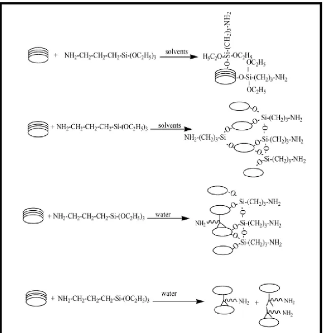 Figure I.3. Schéma illustrant la réaction de l’aminosilane sur la montmorillonite dans  différents solvants  23 