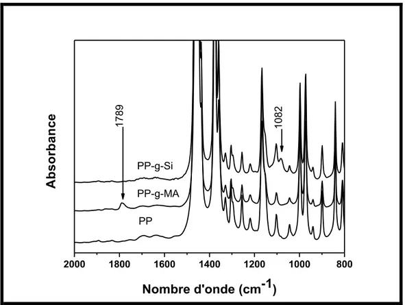 Figure II.1.  Spectres infrarouges du PP vierge et modifié avec du silane et de l’anhydride  maléique