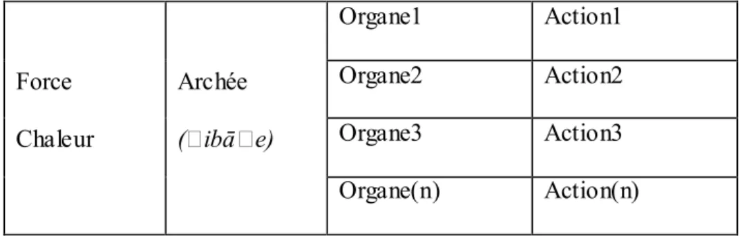 Figure  V.  Modèle  représentant  la  problématique  soulevée  par  Aristote  à  propos  du  rapport  corps/activités animales