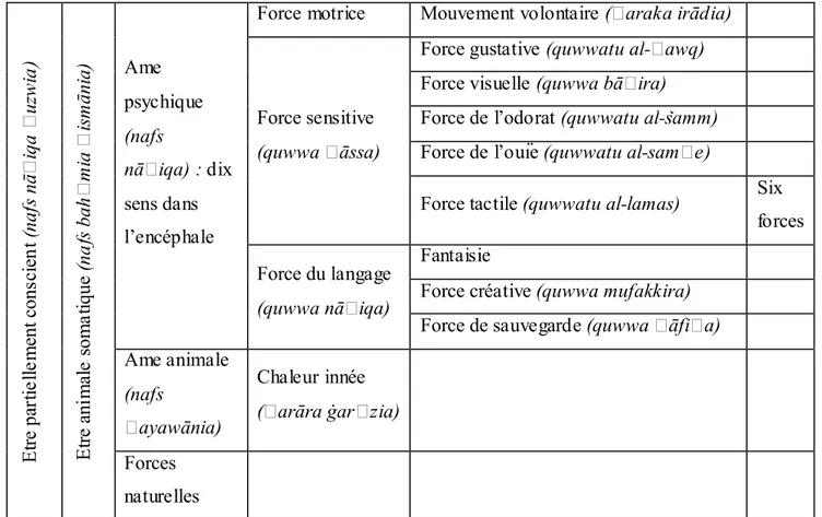 Figure XII. Modèle représentant la différenciation des forces psychiques subordonnées; à partir de  (nafs) individuelle principale selon ṬabarṬ