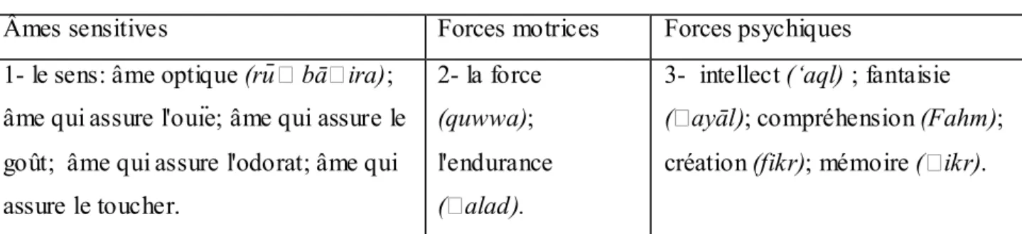 Figure  XIII.  Les  rapports  entre  l’âme,  l’organe  et  l’activité.  Modèle  établit  d'après  le  texte  du  ḤāwḤ d’al-RāzṬ