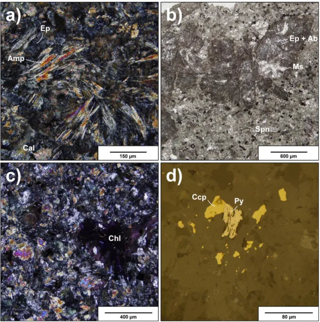 Figure 12: Polarized (a, c), transmitted (b) and reflected light (d) images of mafic rocks   