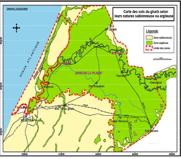 Figure II.3 : Partition des sols dans la région du Gharb  1.4. Climat 