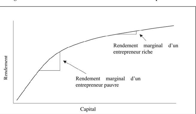 Figure I-2 : La rentabilité d’un investissement en fonction du capital investi 
