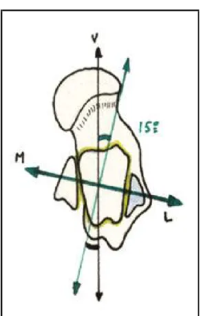 Figure 17 : Axe de l'articulation tibio-fibulo-talienne( 67). 