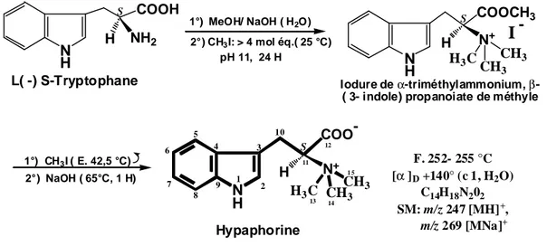 Figure  11  : Synthè se de l’hypaphorine selon la méthode de Romburgh [193]. 