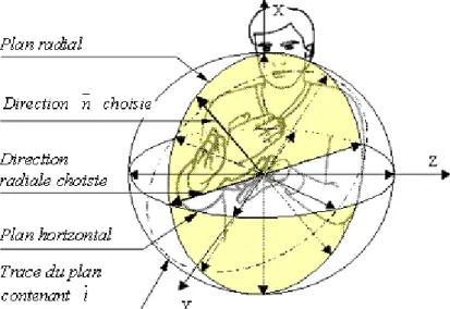 Figure III.12 : Orientation relative et définition des angles du poignetautant de possibilités dans le plan radial ainsi défini