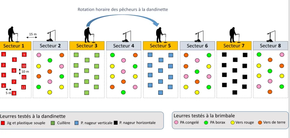 Figure 5. Exemple de plan d’expérience déployé au lac Saint-Pierre pour comparer le succès de pêche des différentes techniques  de pêche et catégories d’appâts et de leurres testés