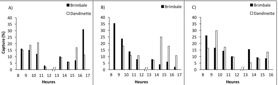Figure 11. Abondance relative des poissons capturés selon l’heure de la journée lors des expérimentations pour la  pêche au doré au lac Saint-Pierre (A), à la perchaude au lac Saint-Louis (B) et à la perchaude au lac Champlain (baie  Missisquoi) (C)