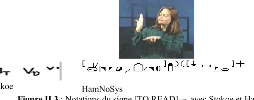 Figure II.3 : Notations du signe [TO READ] ASL  avec Stokoe et HamNoSys 4.1.2 Les systèmes plurilinéaires (en partition)
