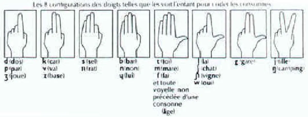 Figure II.2 : les cinq positions de la main pour les voyelles Figure II.1 : les huit configurations des doigts pour les consonnes