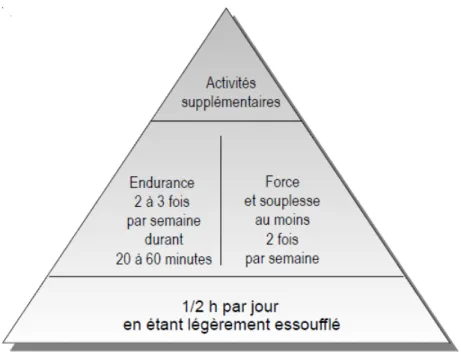 Figure 1.4 : La pyramide de l’activité physique : recommandations pour les adultes (OFSPO,