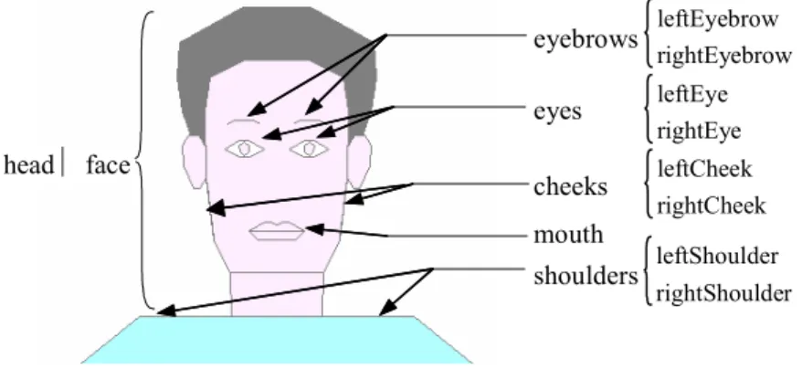 Figure V.11 : Eléments de contrôle du visage et du torse supérieur
