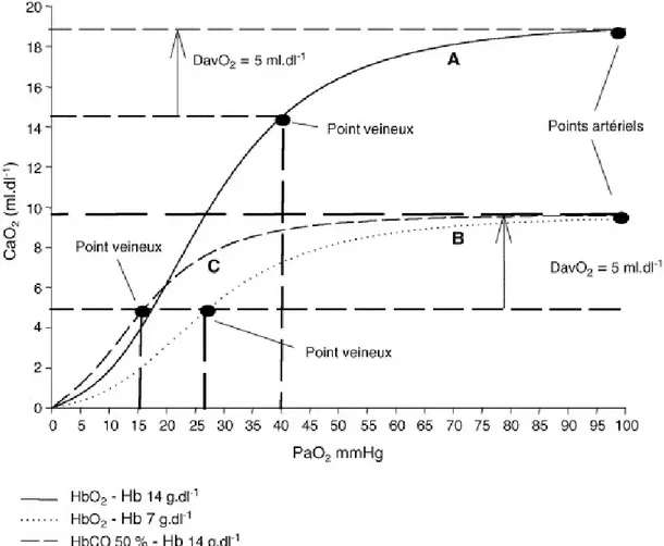 Figure 2. Influences respectives de l’anémie et du CO sur la relation entre le contenu  artériel en O2 (CaO2 = [Hb × 1,34 × SaO2] + PO2 × 0,003) et la PaO2