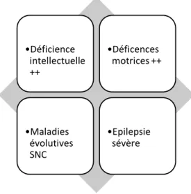 Figure 7. Les quatre sous-groupes de la classification de Georges-Janet (2003) 