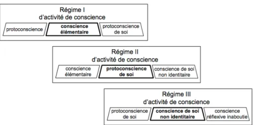 Figure 14. Régimes d'activité de conscience 