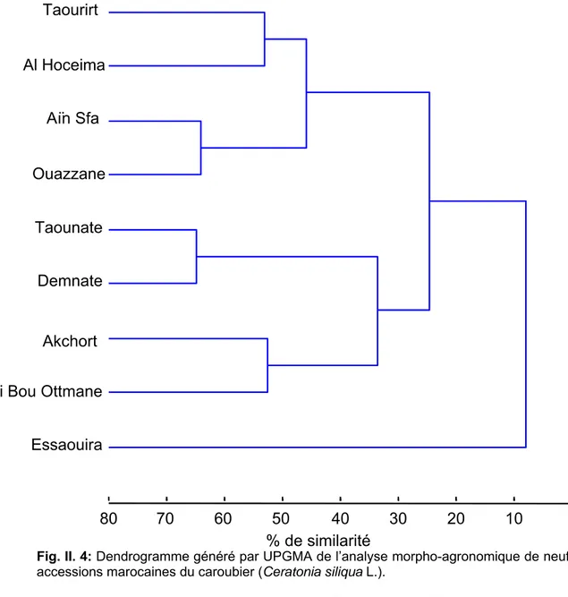 Fig. II. 4: Dendrogramme généré par UPGMA de l’analyse morpho-agronomique de neuf 