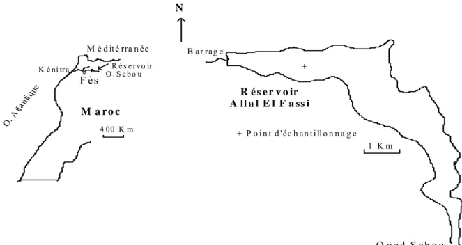 Tab. 2 - Caractéristiques morphométriques de la retenue de barrage Allal El Fassi.