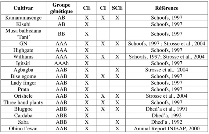 Tableau 2 : Liste des cultivars ayant donné des cals embryogènes (CE/CI) ou des suspensions 