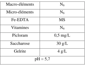 Tableau 10 : Composition du milieu  N 6 Pi 0,5  ( Bui Trang,, 1994)  Macro-éléments  N 6 Micro-éléments  N 6 Fe-EDTA  MS  Vitamines  N 6 Picloram  0,5 mg/L  Saccharose  30 g/L  Gelrite  4 g/L  pH = 5,7 