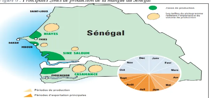 Figure 9 : Principales zones de production de la mangue au Sénégal  Source : ASEPEX, 2016 