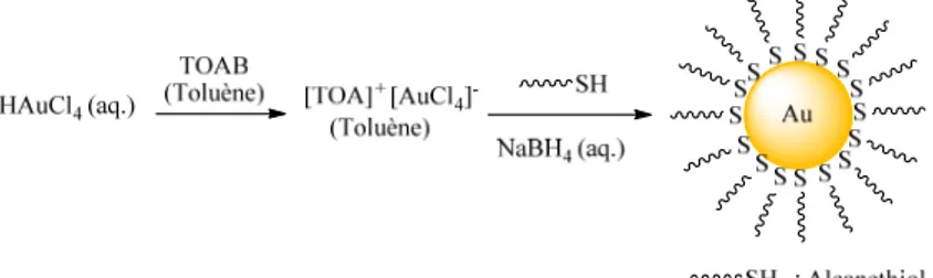 Figure 1.1. Synthèse des AuNPs par la méthode biphasique de Brust-Schiffrin 