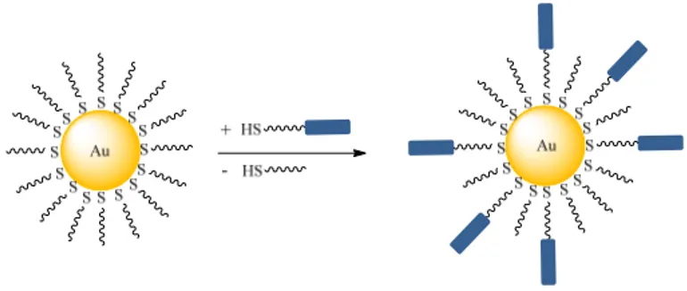 Figure 1.6. Synthèse de AuNPs liquides-cristallines par la réaction d’échange des ligands  