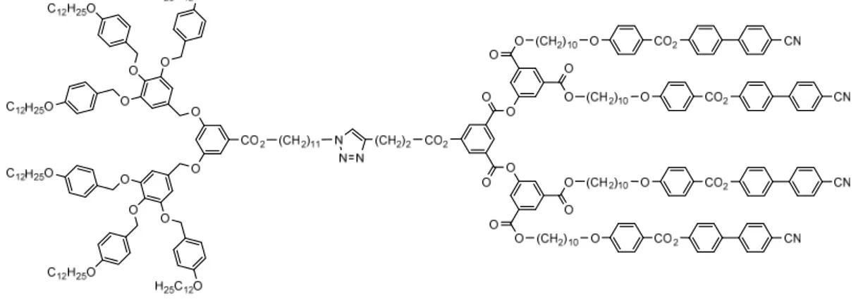 Figure 1.17. Dendrimère liquide-cristallin du type Janus 