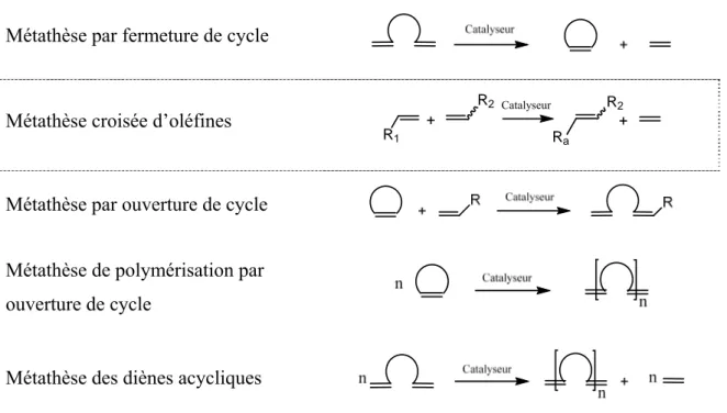 Figure 1.21. Types de réactions de métathèse 