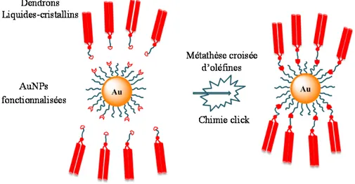 Figure 2.1 : Conception de AuNPs liquides-cristallines par la chimie click et la métathèse croisée  d’oléfines 