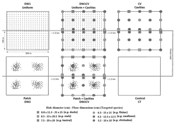 Figure 2. Schematic representation of the 6 experimental sites (i.e., every treatment combination) 
