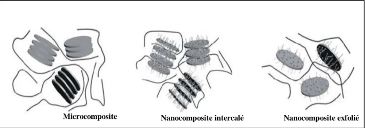 Figure 5 : Représentation schématique des différentes morphologies des nanocomposites polymère/argile
