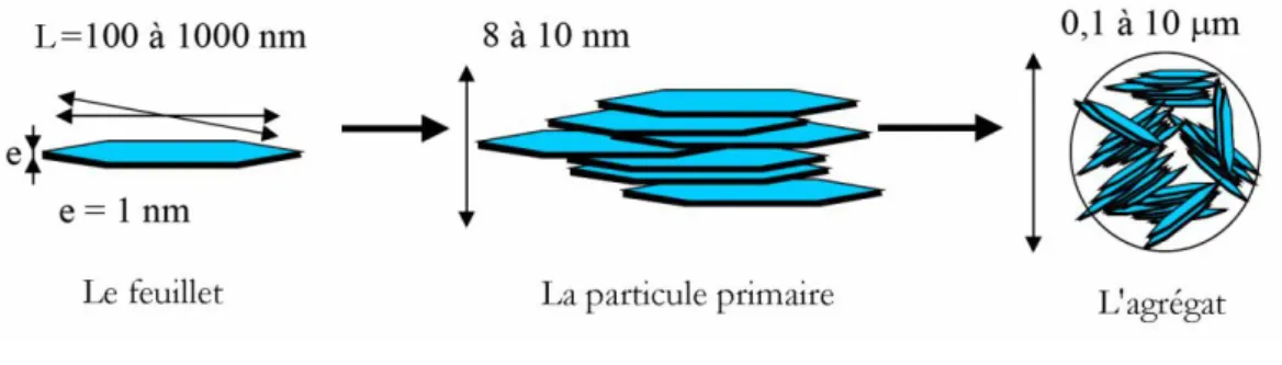 Figure 26 :  Représentation schématique de l’organisation multi-échelle de la montmorillonite (Le Pluart et al.,  2004)