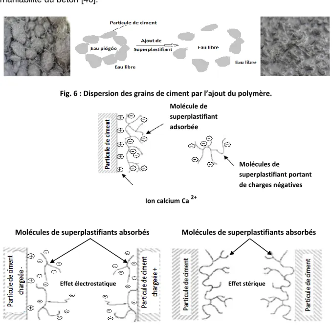 Fig. 6 : Dispersion des grains de ciment par l’ajout du polymère. 