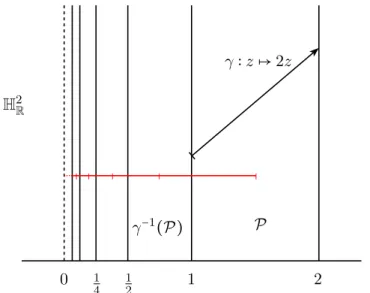 Figure 1.3 – L’espace Z n’est pas complet, et P n’est pas un domaine fondamental pour le groupe ⟨γ⟩.