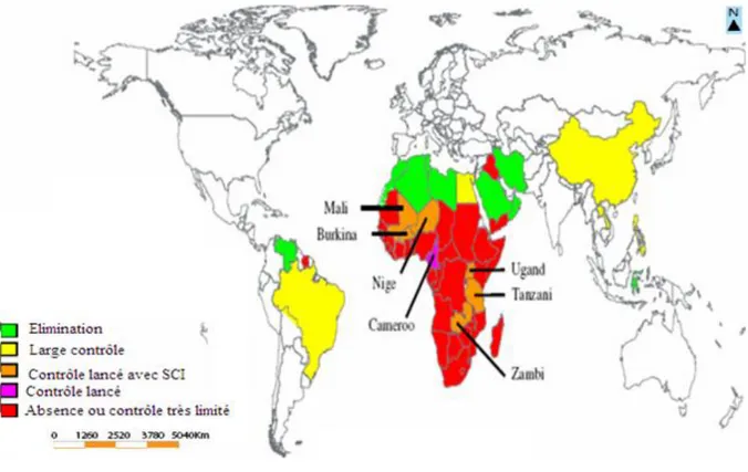 Figure 2 : Situation globale du contrôle de la bilharziose dans le monde en 2005 (Fenwick et  al., 2006) 