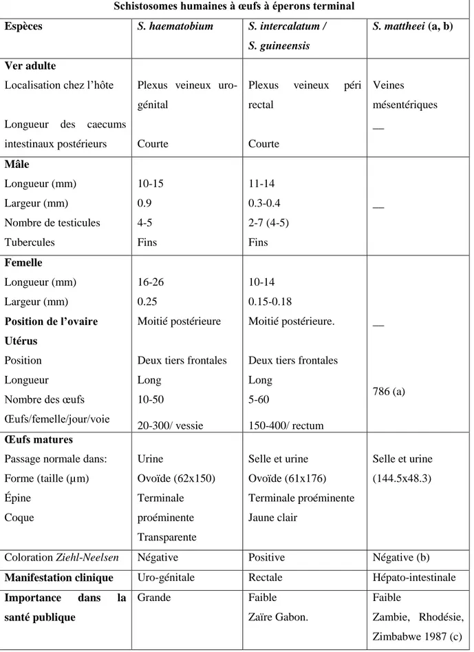 Tableau  2:  Caractéristiques  des  principales  espèces  des  schistosomes    humains  à  œuf  à  éperon  terminal  (Pitchford  et  al.,  1965  (a),  Hira  et  al.,  1975  (b),    Chandiwana  et  al.,  1987  (c),  Mahmoud, 2001) 