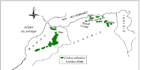 Figure I-1. Aire de répartition du Cèdre de l’Atlas        Source : M’hirit, 1999