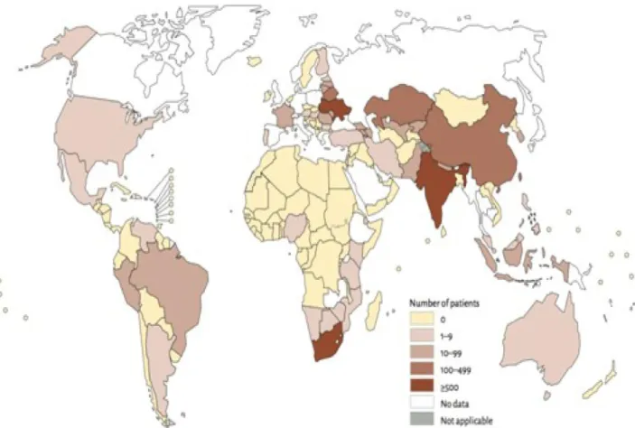Figure 9: Patients avec  TB-XDR confirmé, ayant commencé le traitement   