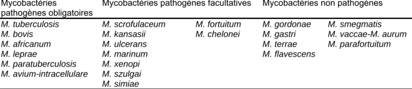 Tableau N°1 : Quelques espèces du genre Mycobacterium 